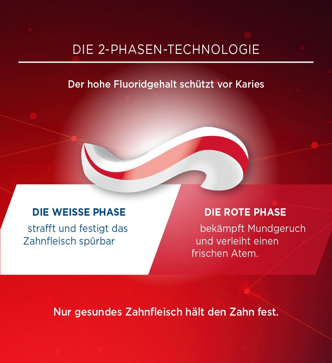 LACALUT® aktiv plus
