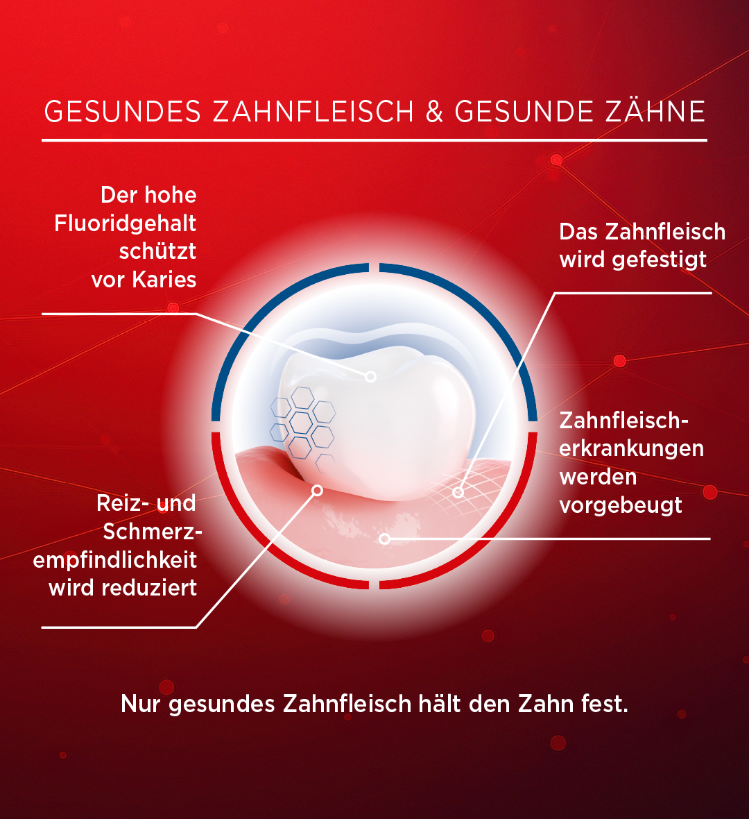 LACALUT® aktiv